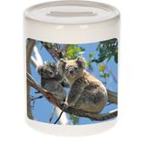 Dieren koala beer foto spaarpot 9 cm jongens en meisjes - Cadeau spaarpotten koala beer koalaberen liefhebber