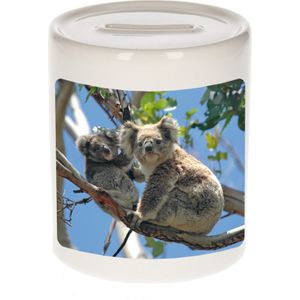 Dieren koala beer foto spaarpot 9 cm jongens en meisjes - Cadeau spaarpotten koala beer koalaberen liefhebber