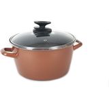 Rvs rose kookpan/pannen Burgos met glazen deksel 20 cm 7 liter