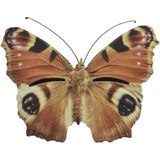 Bruin/oranje vlinderhuis 20 cm - Tuindecoratie - Diervriendelijk - Hotel/huisje voor vlinders
