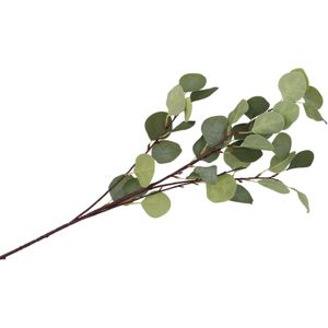 DK Design Kunstbloem Eucalyptus tak Real Touch - 90 cm - groen - losse steel - Kunst zijdebloemen