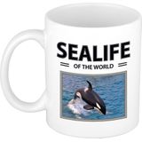 Dieren foto mok Orka - 300 ml - sealife of the world - cadeau beker / mok zwaardwalvis liefhebber