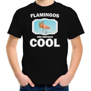 Dieren flamingo vogels t-shirt zwart kinderen - flamingos are serious cool shirt  jongens/ meisjes - cadeau shirt flamingo/ flamingo vogels liefhebber - kinderkleding / kleding