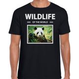 Dieren foto t-shirt Panda - zwart - heren - wildlife of the world - cadeau shirt pandabeer liefhebber