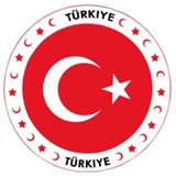 Turkije versiering onderzetters/bierviltjes - 100 stuks - Turkije thema feestartikelen