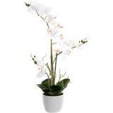 Items Orchidee bloemen kunstplant in witte bloempot - witte bloemen - H60 cm