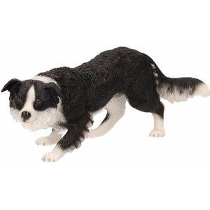 Beeldje Border Collie hond 17 cm