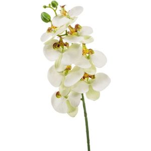 Witte Phaleanopsis/vlinderorchidee kunstbloem 70 cm - Kunstbloemen boeketten
