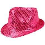 Carnaval verkleed set - hoedje en stropdas - roze - volwassenen - glitters
