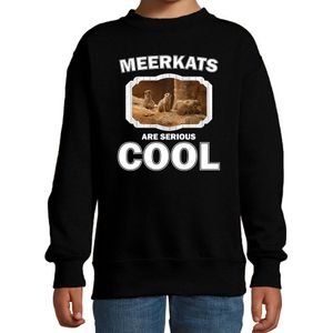 Dieren stokstaartjes sweater zwart kinderen - meerkats are serious cool trui jongens/ meisjes - cadeau stokstaartje/ stokstaartjes liefhebber - kinderkleding / kleding
