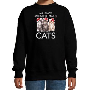 Kitten Kerstsweater / Kerst trui All I want for Christmas is cats zwart voor kinderen - Kerstkleding / Christmas outfit