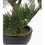 Kunstplant Bonsai boompje - Pinus Deniflora - kunst kamerplant - 33 cm