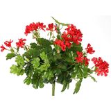 TopArt Kunstbloemen Boeket Oostenrijkse Geranium Rood 40 cm - Kunstplanten met Bloemen