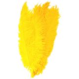 Gele spadonis sierveer 50 cm