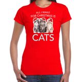 Kitten Kerstshirt / Kerst t-shirt All i want for Christmas is cats rood voor dames - Kerstkleding / Christmas outfit