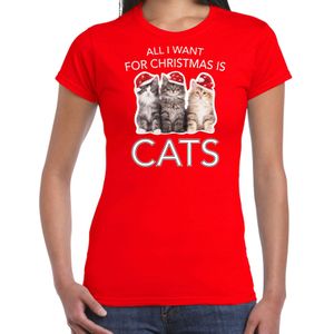 Kitten Kerstshirt / Kerst t-shirt All i want for Christmas is cats rood voor dames - Kerstkleding / Christmas outfit