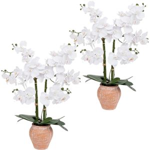 Atmosphera Orchidee bloemen kunstplant in sierlijke terracotta bloempot - 2x - witte bloemen - H65 cm