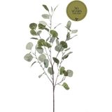 Emerald Kunstbloem Eucalyptus tak - 2x - 87 cm - groen - losse steel - Kunst zijdebloemen