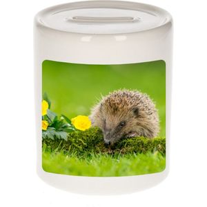 Dieren egel foto spaarpot 9 cm jongens en meisjes - Cadeau spaarpotten egels liefhebber