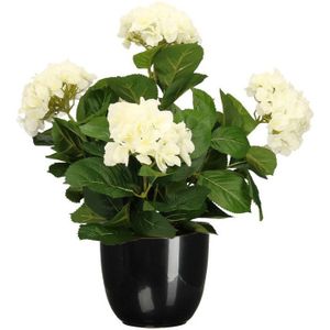 Hortensia kunstplant/kunstbloemen 45 cm - wit - in pot zwart glans - Kunst kamerplant