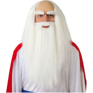 Witte tovenaars carnaval / halloween pruik met baard