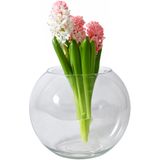Gerimport Bol vaas/terrarium - D25 x H21 cm - glas - transparant - bloemenvazen