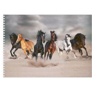 2x stuks a4 Schetsboek/ tekenboek/ kleurboek/ schetsblok met paarden bedrukking voor kinderen - Paarden tekenen speelgoed cadeau boek