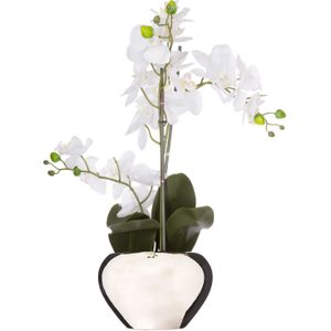 Atmosphera Orchidee bloem kunstplant - wit - H56 x B40 cm - in luxe zilveren pot