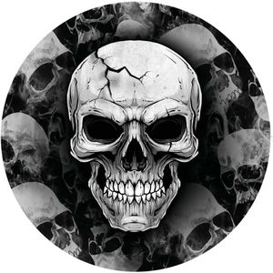 Fiestas Guirca Halloween/horror schedel/doodshoofd bordjes - 6x - zwart - papier - D23 cm
