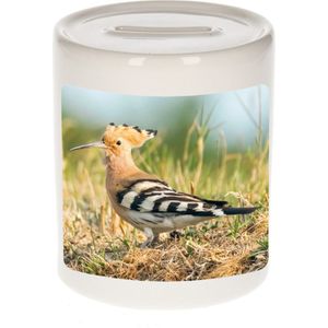 Dieren hop vogel foto spaarpot 9 cm jongens en meisjes - Cadeau spaarpotten hop vogel vogels liefhebber