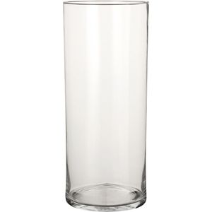 1x Ronde bloemen vaas/vazen van helder glas 48 cm - Voor verse of kunst bloemen en boeketten - Glazen vazen transparant