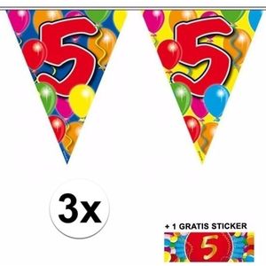 3x vlaggenlijn 5 jaar met gratis sticker