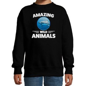 Sweater haai - zwart - kinderen - amazing wild animals - cadeau trui haai / haaien liefhebber