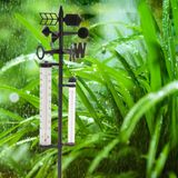 Bellatio design Regenmeter weerstation - thermometer - windwijzer - neerslagmeter - op stok - 150 cm