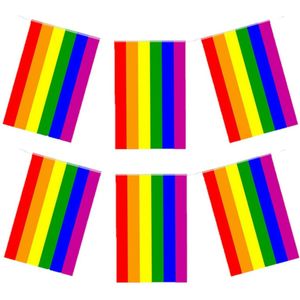 Regenboog vlaggenlijn - 3 stuks - 7 meter - 25 x 20 cm - feest - Pride