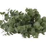 DK Design Kunstbloem Eucalyptus tak - 2x - 47 cm - groen - bundel/bosje - Kunst zijdebloemen