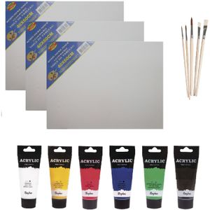 Schilders verf set van 6x tubes acrylverf/hobbyverf 75 ml + 3x canvas doeken van 40 x 60 cm + 5x kwasten - grote tubes