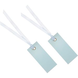 Santex cadeaulabels met lintje - set 24x stuks - licht blauw - 3 x 7 cm - naam tags