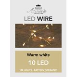 Anna Collection draadverlichting - goud- 10 leds- warm wit - 100 cm