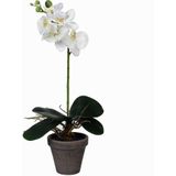 2x stuks phalaenopsis Orchidee kunstplanten wit in pot H48 x D13 cm cm - Kunstplanten/nepplanten met bloemen