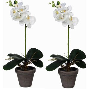 2x stuks phalaenopsis Orchidee kunstplanten wit in pot H48 x D13 cm cm - Kunstplanten/nepplanten met bloemen