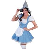 Blauw geblokte Oktoberfest jurk / dirndl voor dames - tiroler jurkje