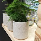 Hakbijl Plantenpot/bloempot Cindy - 2x - wit - keramiek - cilinder - D17 x H17 cm