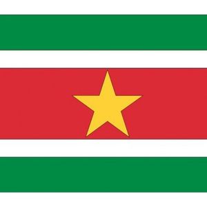 10x Binnen en buiten stickers Suriname 10 cm - Surinaamse vlag stickers - Supporter feestartikelen - Landen decoratie en versieringen