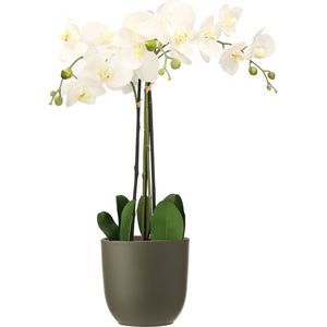 Orchidee kunstplant wit - 75 cm - inclusief bloempot olijfgroen mat - Kunstbloemen in pot