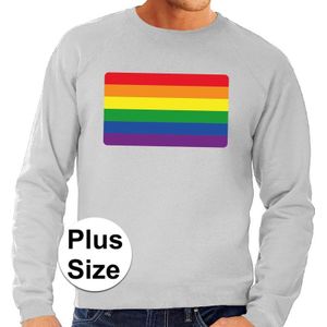 Grote maten regenboog vlag sweater grijs -  plus size lgbt sweater voor heren - gay pride