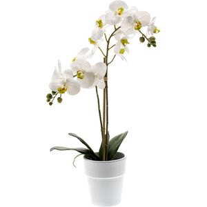 Witte orchidee kunstplant in kunststof pot 65 cm - Orchidaceae - Woondecoratie/accessoires - Kunstplanten - Nepplanten - Orchidee planten in pot