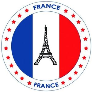 100x Bierviltjes Frankrijk thema print - Onderzetters Franse vlag - Landen decoratie feestartikelen