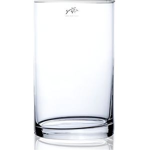 Cilinder Bloemen Vaas Helder Glas 15 X 25 cm - Voor Verse Of Kunst Bloemen en Boeketten