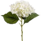 Emerald Kunstbloem hortensia tak - 2x - Annabelle - 52 cm - creme - Kunst zijdebloem - Hydrangea